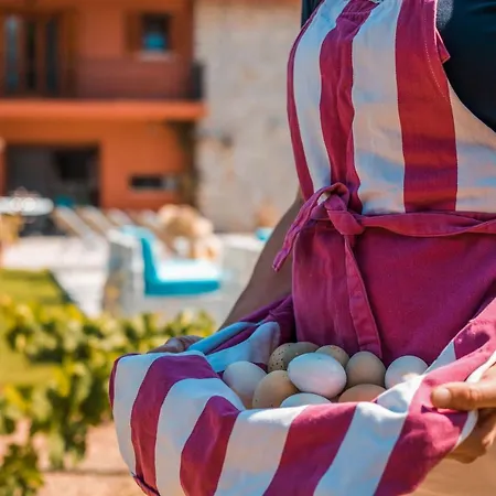 Wine & Vineyard Retreat Emarmene