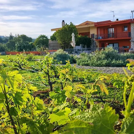 Feriehus Wine & Vineyard Retreat Emarmene